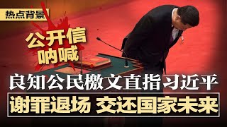 突发：昆明又现蓄意撞人事件，嫌犯被特警击毙；良知公民檄文直指习近平：谢罪退场，交还国家未来！中央新一轮巡视组进驻，围剿习老巢；甘肃儿童血铅：6人被捕，书记、市长被追责 | #热点背景20250721