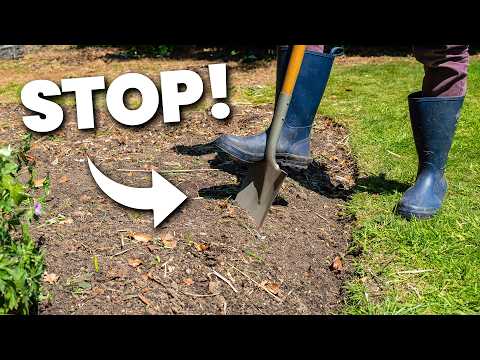 STOP Digging in Your Garden (Do This Instead)