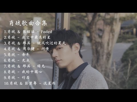 肖战xiaozhan音乐精选合集  || 余年 、光点、  被风吹过的夏天、Faded、花心