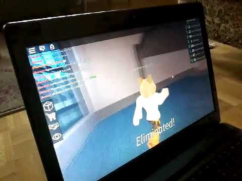 ROBLOX assassin