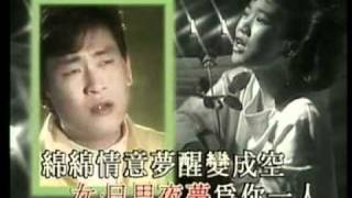 王識賢/陳亮吟-雪中紅
