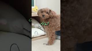 저는 모르는 일인데요?
