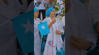 Hobollada Waaberi | Waan gaari doonaa.. #somali #somalimusic #heeso #somalia #somalicommunity