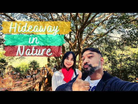 Hideaway in Nature | Visiting The Giant and Mae Kampong Village | Desi Abroad