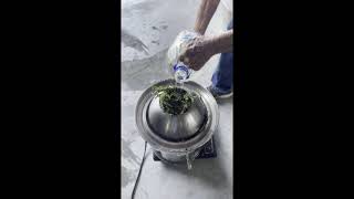 茶樹精油介紹