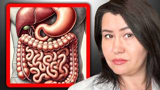 Gut Health Expert Reveals Fiber's Benefits! - Dr. Will Bulsiewicz