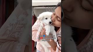 #youtubeshorts #explorepage  #oldsongs #papakiplaylist #90s  #doglover #petparent #petlove #foryou