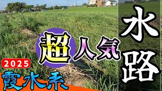 [Bass fishing] [Lake Kasumigaura] You can catch fish in famous waterways