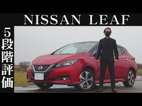 【オーナー 閲覧注意】日産 リーフ　正直レビュー