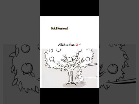 Allah's plans ❤️‍🩹💐🤲|#youtubeshorts #islamic #shortsfeed #viral