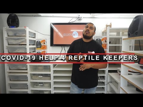 COVID 19-HELPING LOCAL REPTILE KEEPERS