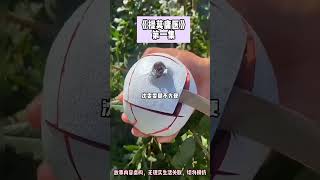 《庸醫》懸疑+虐心+反轉。完結版。提莫雨聲 #推文 #聽書 #有聲書 #小說 #故事 #一口氣看完 #虐文