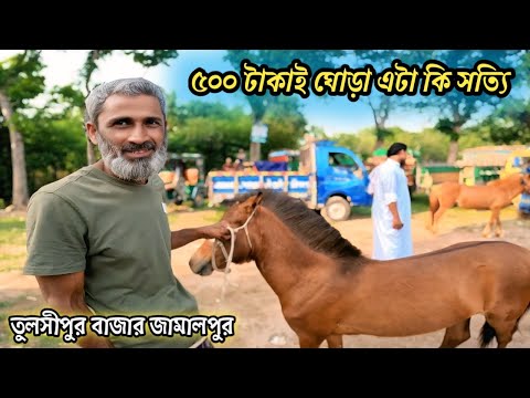 মাত্র ৫০০ টাকাই ঘোড়া  পাবেন || বাংলাদেশর নাম্বার ১ ঘোড়ার হাট তুলশিপুর বাজার #ঘোড়ারহাট