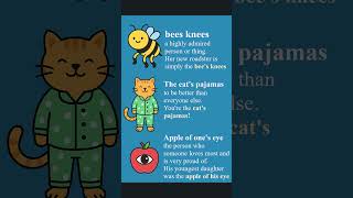 These 3 Cute Idioms You NEED to Know! 🍎🐝😸| Daily Idioms #shortsfeed #shorts #english #vocabulary