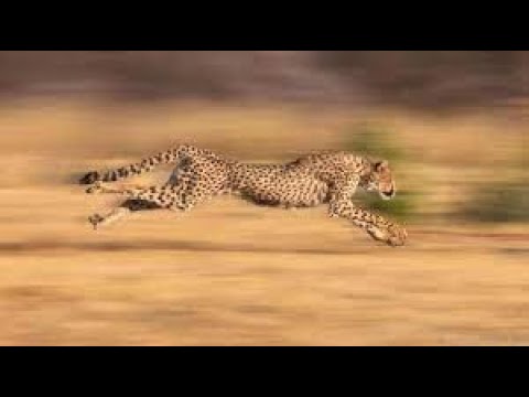 move command