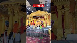 Thari mor chadi || khatu shyam delhi dham || khatu shyam status #khatushyam #lakhdatar #delhidham