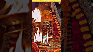 "The City Where Even Kings Don’t Sleep – Because Only Mahakal Reigns!"#spiritualindia