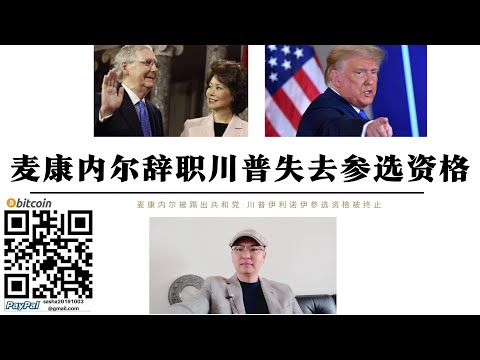 美國川普被裁定失去總統參選資格 伊利諾州法院以叛國罪裁定川普失共和黨參選資格 麥康內爾被趕出共和黨 美國將因移民問題爆發內戰