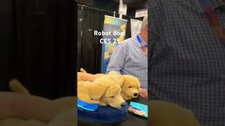 Robot dog must see!