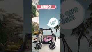 ibiyaya旅行拖拉車半價特惠中｜適合海灘玩耍．戶外野餐．露營體驗的寵物推車｜FS2130 拖拉庫旅行拖拉車｜IBIYAYA寵物用品．狗狗用品．狗狗推車．貓用品．貓咪用品．貓咪推車