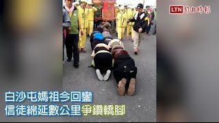 白沙屯媽祖回鑾 信徒綿延數公里爭鑽轎腳