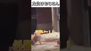 犬猫のおもしろ動画にツッコミどころ満載なアフレコしてみた＃140【散歩】【ハプニング映像】#shorts　#アフレコ #面白動画