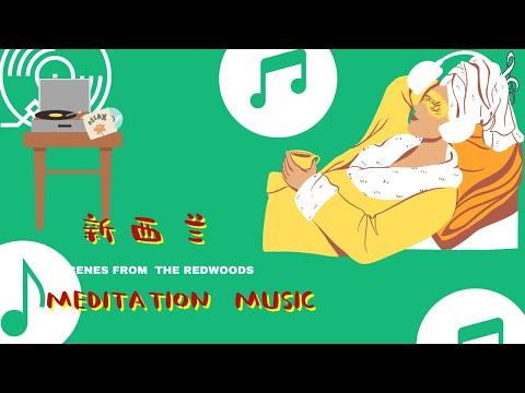 新西蘭MEDITATION MUSIC_SCENES FROM THE REDWOODS