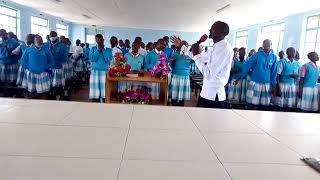Paul oloserian siriai commedy