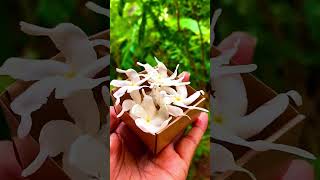 Diy flower box | Diy box | paper box #diybox #giftbox #paperbox #flowerbox #diy #papercraft