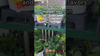 Lowe’s Garden haul  #GardenStyle #CherokeePurple #SpringMood #Lowe’s #gardening #garden #plants