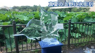 真夏の上野に「氷の彫刻」巨大な氷を美しい彫刻へと彫り上げる職人技 ～うえの夏まつり