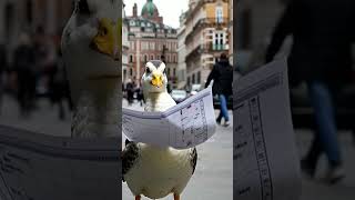 The Duck AI #aivision #ai #aivideo