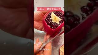 リベンジ！【ザクロ】の剥き方(成功編)やっぱり宝石みたいな輝き✨　#2828tokyo #fruit #food #ざくろ music @aexcit