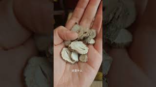 【中药】🌿每天教大家认识六味中药 #中國醫 #中医 #药膳 #中药 #中药材