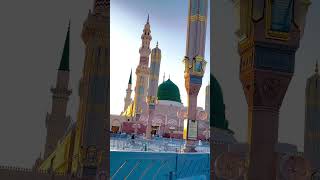 #surah_alaq #nature #mqquran #islamicholybook #mqp #duet @Alqurant1M