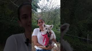 Adriana y su perrita Tabitha nos cuentan su experiencia  #lineupdog #comportamientocanino #perros