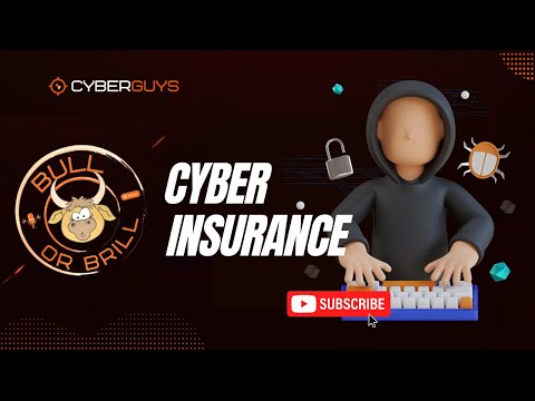 Bull or Brill Episode 3   Cyber Insurance
