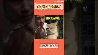 查查吧 不像演的#貓咪 #万万没想到 #看一遍笑一遍 #可爱到爆炸 💥#Shorts #Trending #Subscribe #YouTube #cosplay #star #搞笑 #娱乐