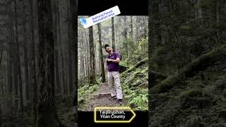 讓我們看雲去：宜蘭太平山休閒旅遊（Taipingshan, Yilan County/National Forest Recreation Area）