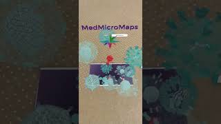 MedMicroMaps Augmented Reality via Adobe Aero, showing 3D models of viruses #futureisnow
