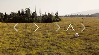 KID DAD - The Wish Of Being Alone (Official Video)