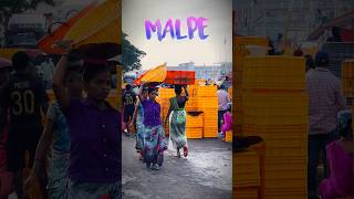Malpe Harbour ⚓️ #malpe #udupi #harbour