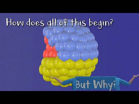 The Early Epigenome - Kickstarting a new Organism