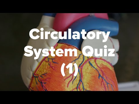 Circulatory System Quiz (1)