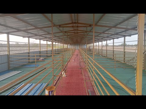 Hi tech Elevated 200 Goat Shed, krishyaal, Nidagundi, Bijapur. @QualityFabrications 8105805377