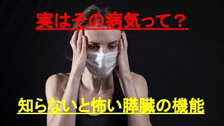 【膵臓の機能】急性膵炎、慢性膵炎だけでなく、糖尿病にも関係する？