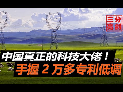 中国真正的科技巨头，手握21635件专利，经营区域几乎覆盖全国