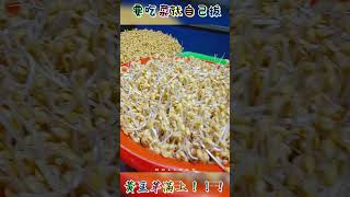 當菜商的好處就是~~要吃就自己動手拔拔拔！！！黃豆芽滿上~~
