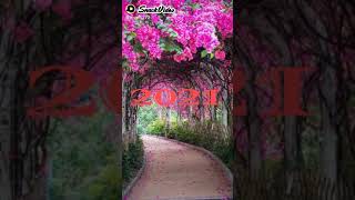 2021 new WhatsApp status new year 2021