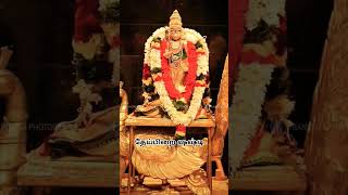 #தேய்பிறைசஷ்டி#முருகன்பாடல்கள்#shortsfeedshort #devotionalsong#arokara  #murugansong#kavicreations